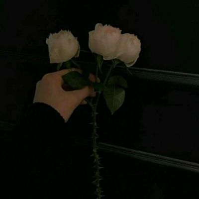 旭阳龙印果盘版下载